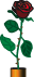 flower vase